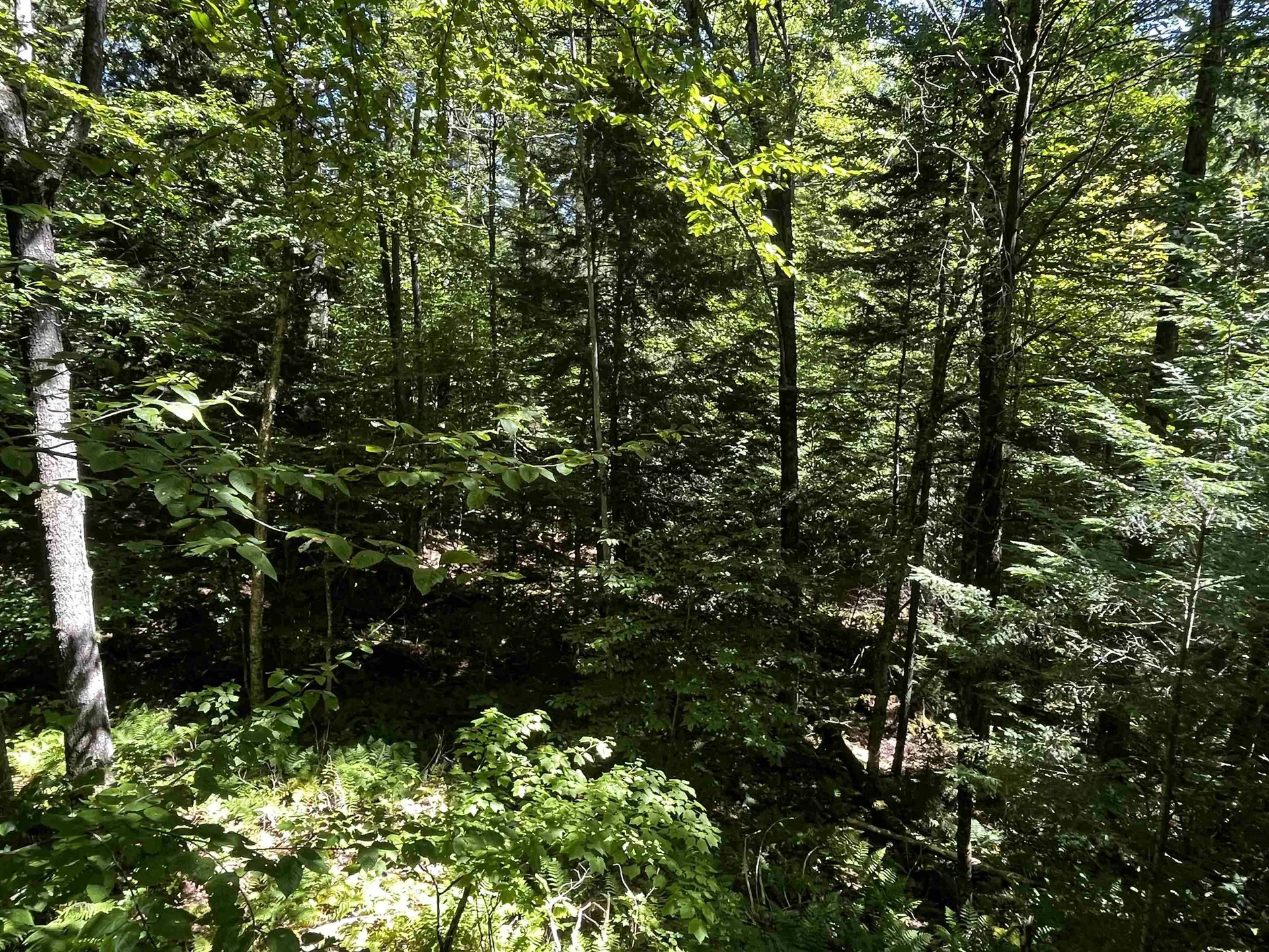 826 Bousquet Road Lowell VT 05847