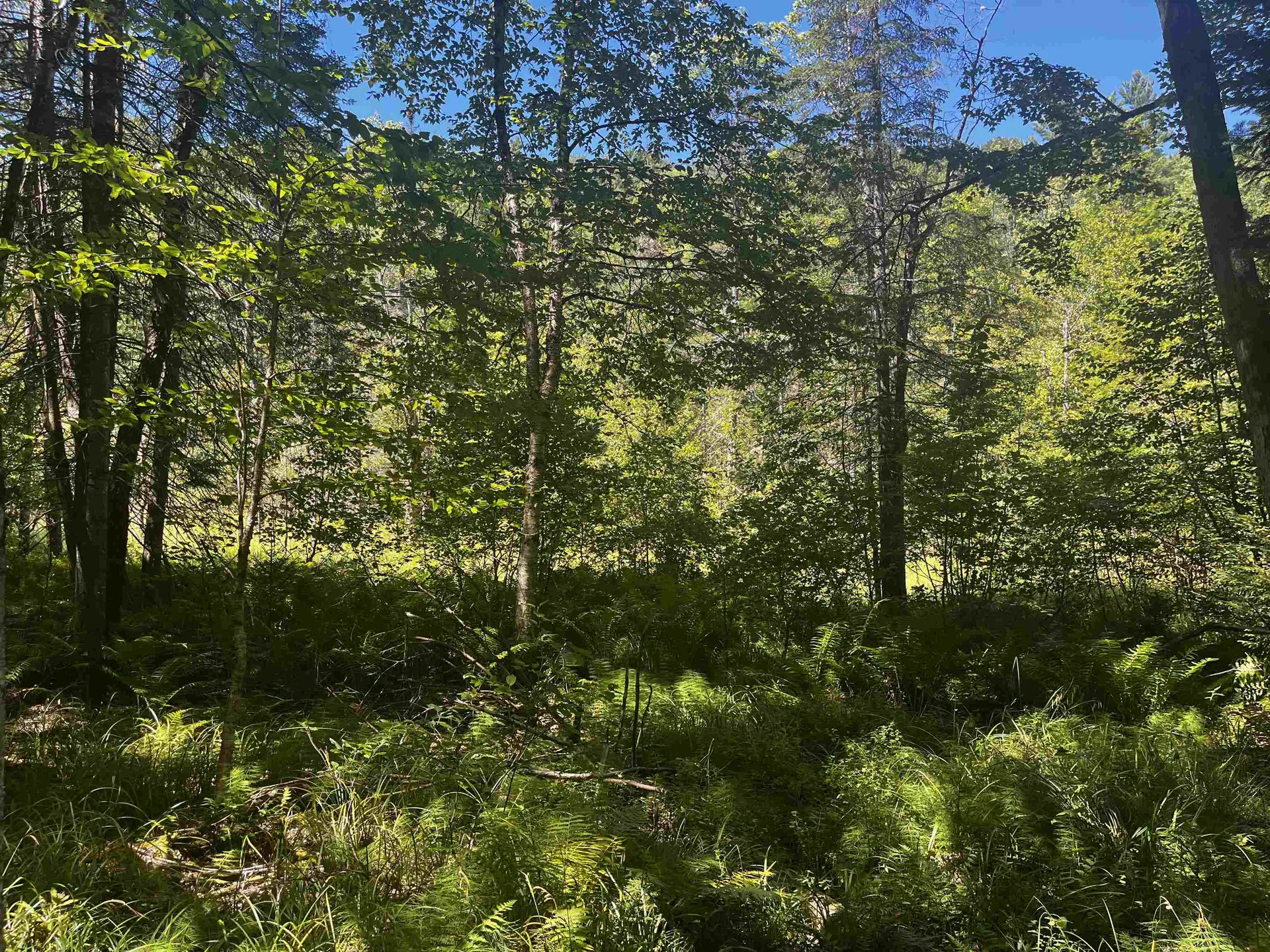 826 Bousquet Road Lowell VT 05847