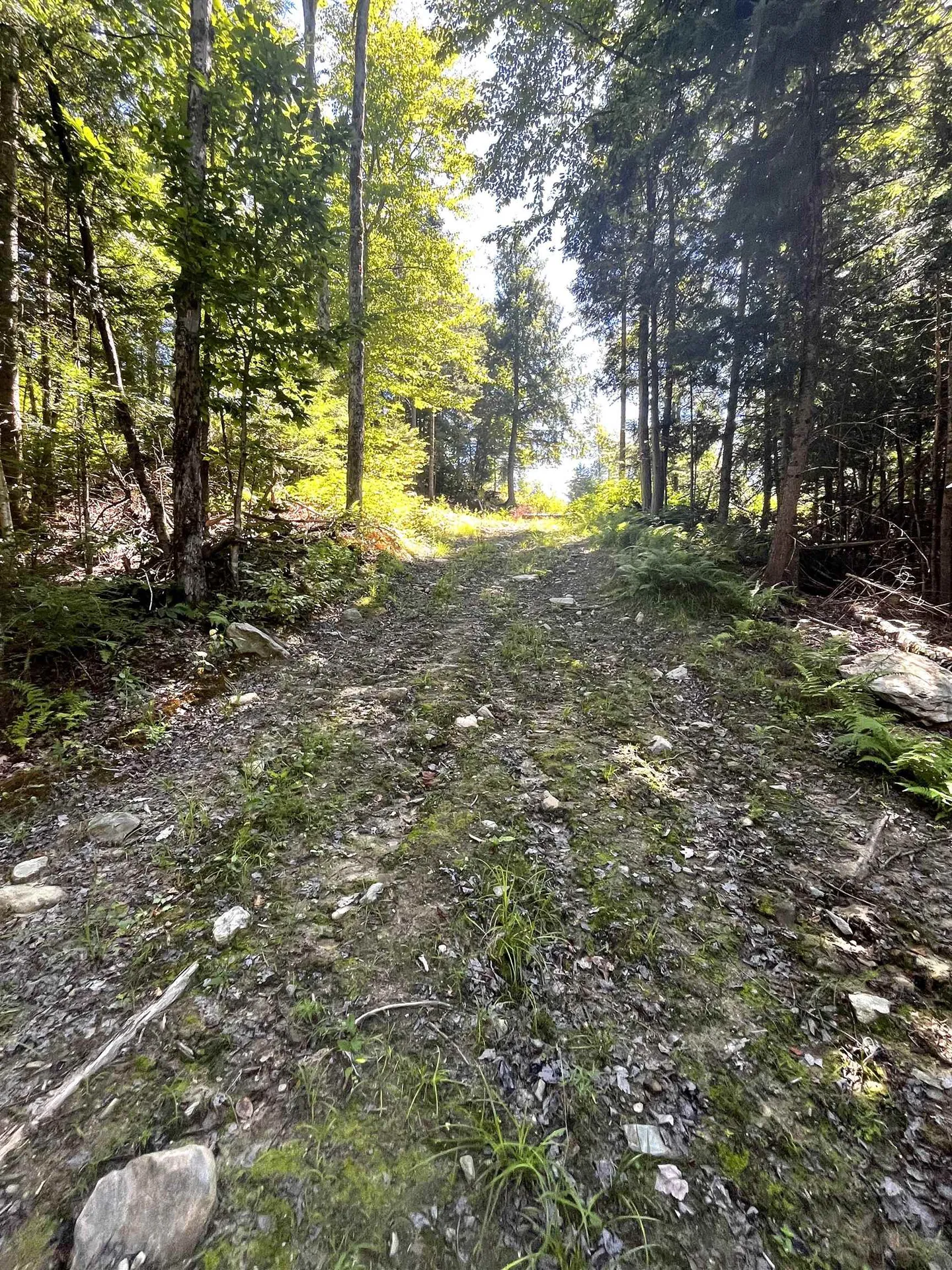 826 Bousquet Road Lowell VT 05847