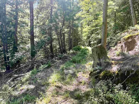 826 Bousquet Road Lowell VT 05847