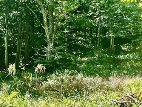 826 Bousquet Road Lowell VT 05847