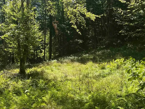 826 Bousquet Road Lowell VT 05847