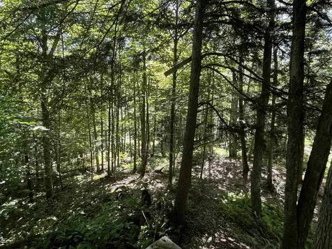 826 Bousquet Road Lowell VT 05847