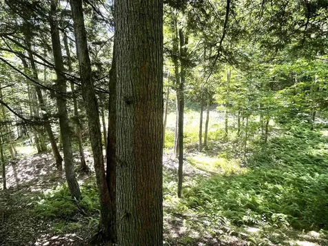 826 Bousquet Road Lowell VT 05847