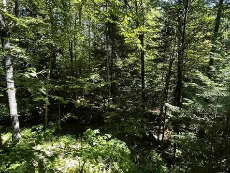 826 Bousquet Road Lowell VT 05847