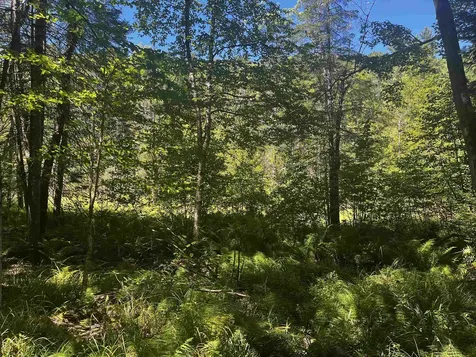 826 Bousquet Road Lowell VT 05847