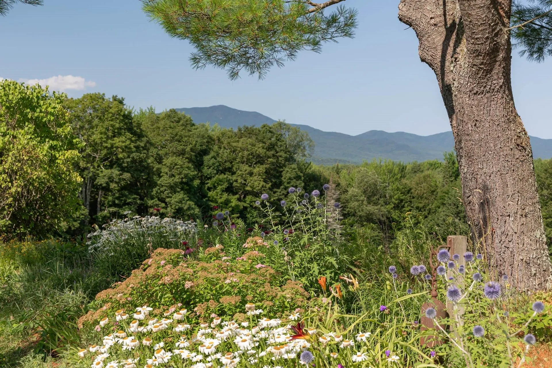 1359 Centerville Road Hyde Park VT 05655