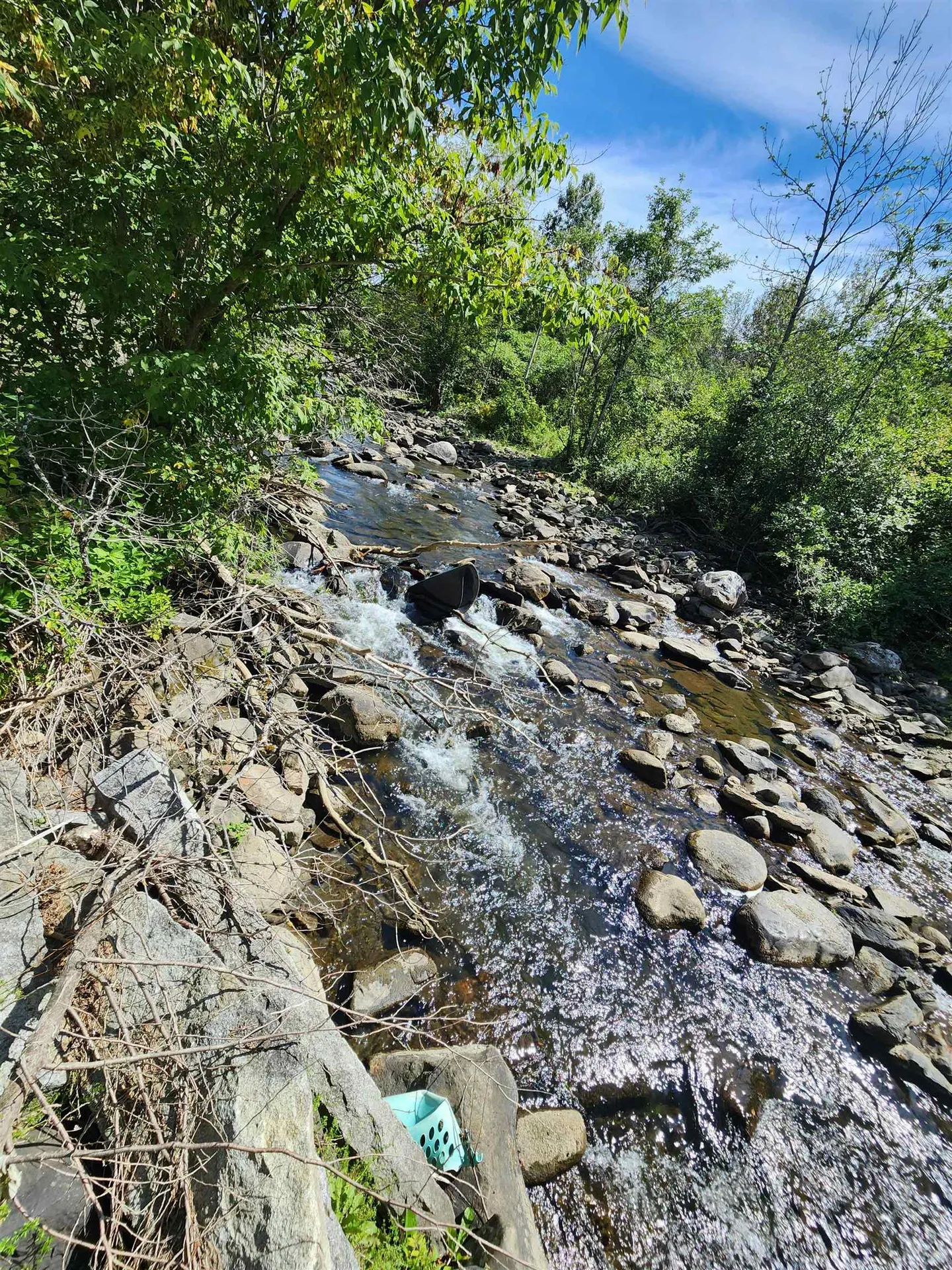 77 School Street Marshfield VT 05658