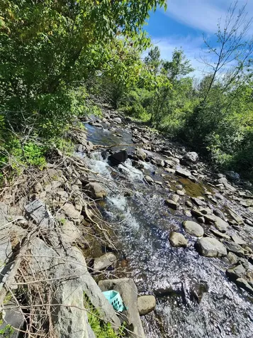 77 School Street Marshfield VT 05658