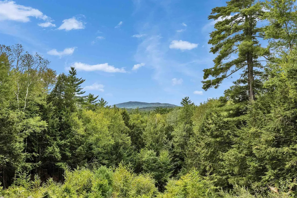 213 Brush Brook Road Dublin NH 03444