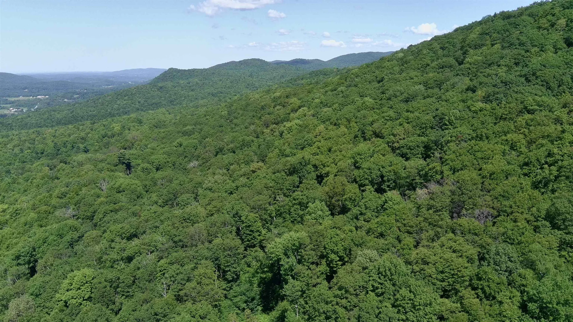 Tbd Blackberry Lane Bristol VT 05443