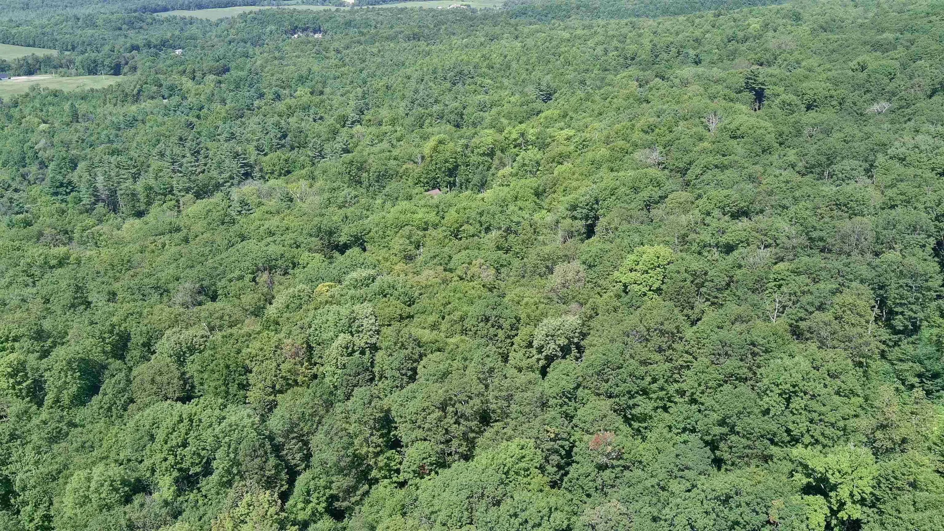 Tbd Blackberry Lane Bristol VT 05443