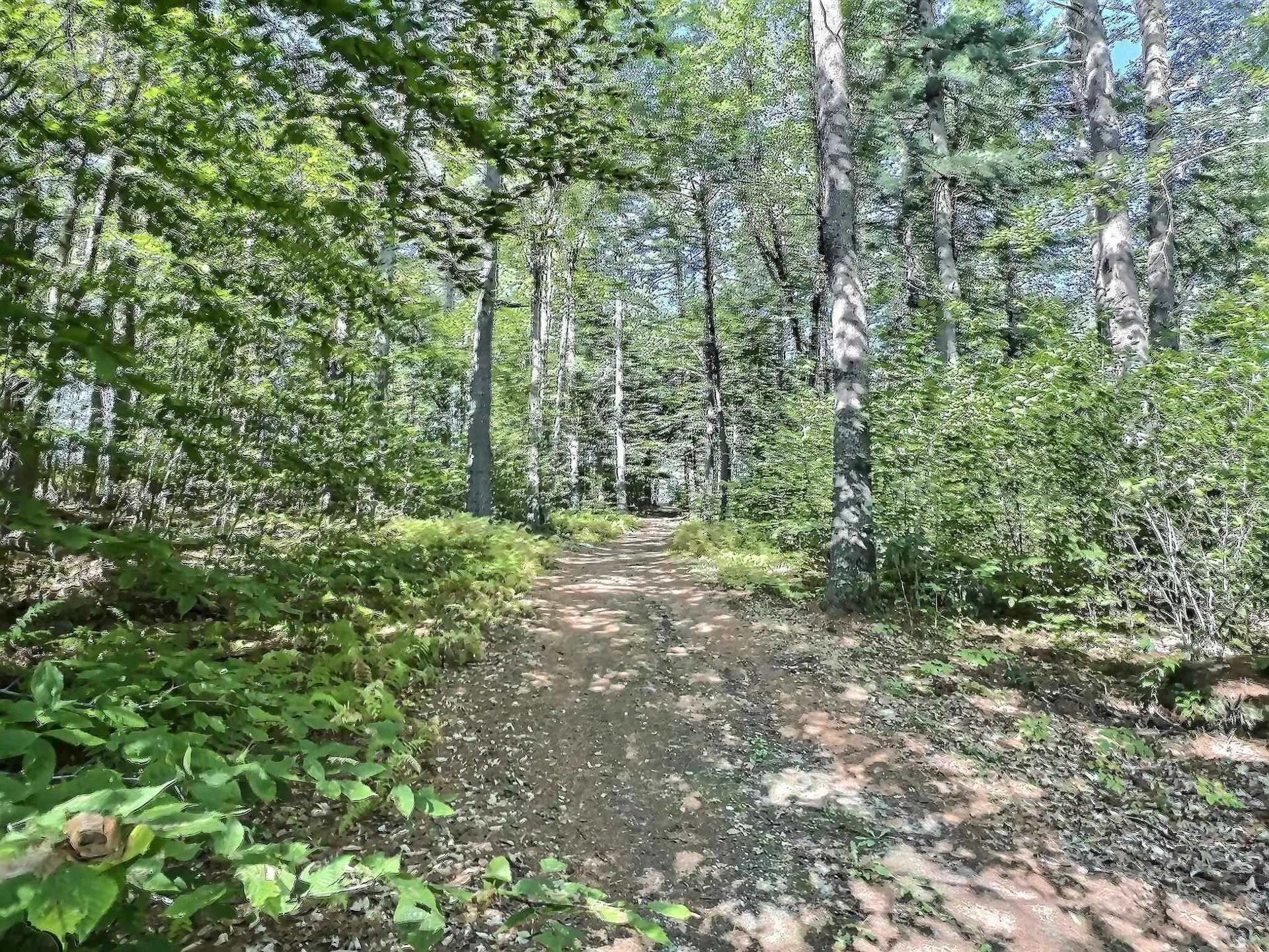 000 Farwell Lane New London NH 03257