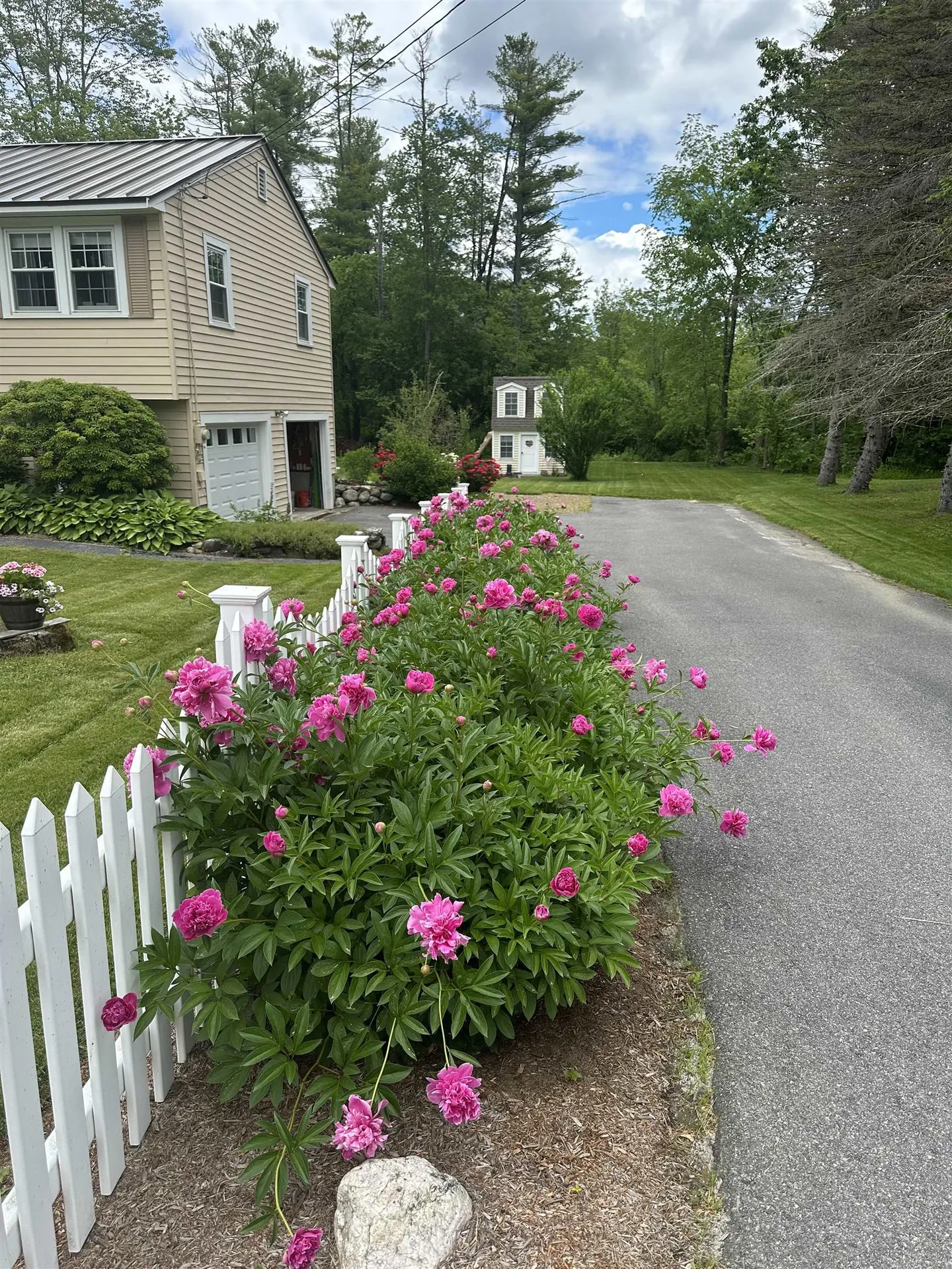 5 Wilshire Drive Londonderry NH 03053