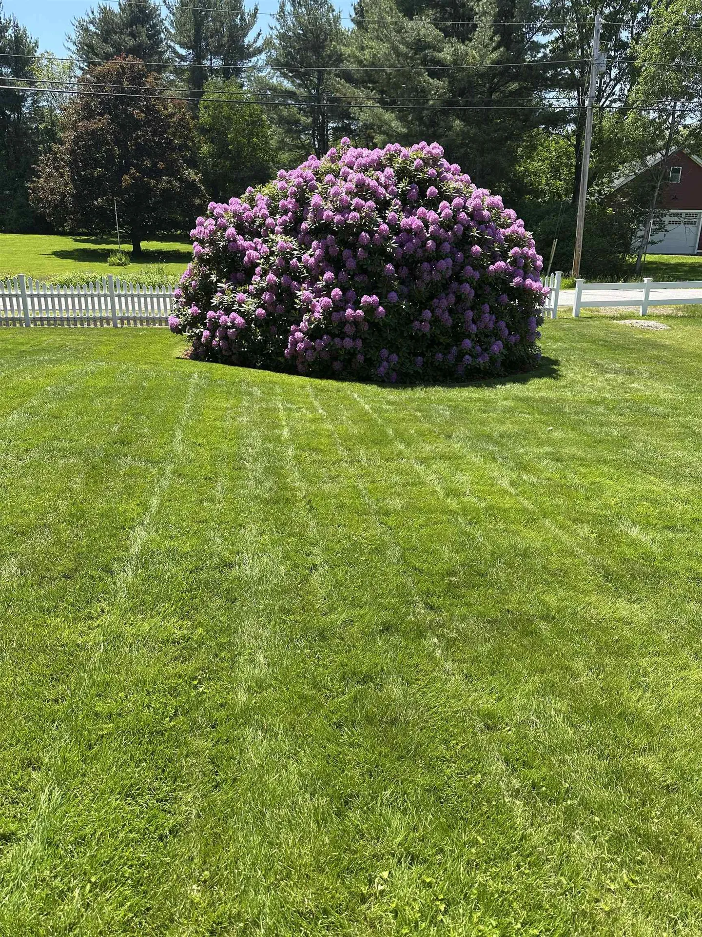 5 Wilshire Drive Londonderry NH 03053