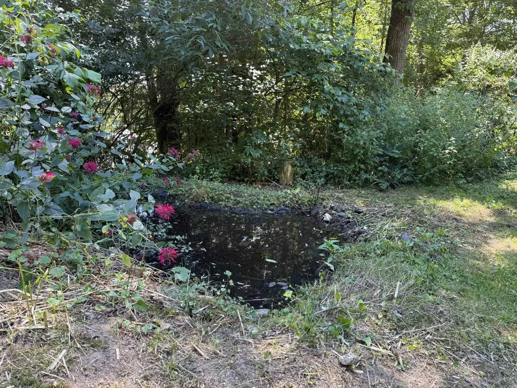 209 Putnam Avenue Hardwick VT 05843