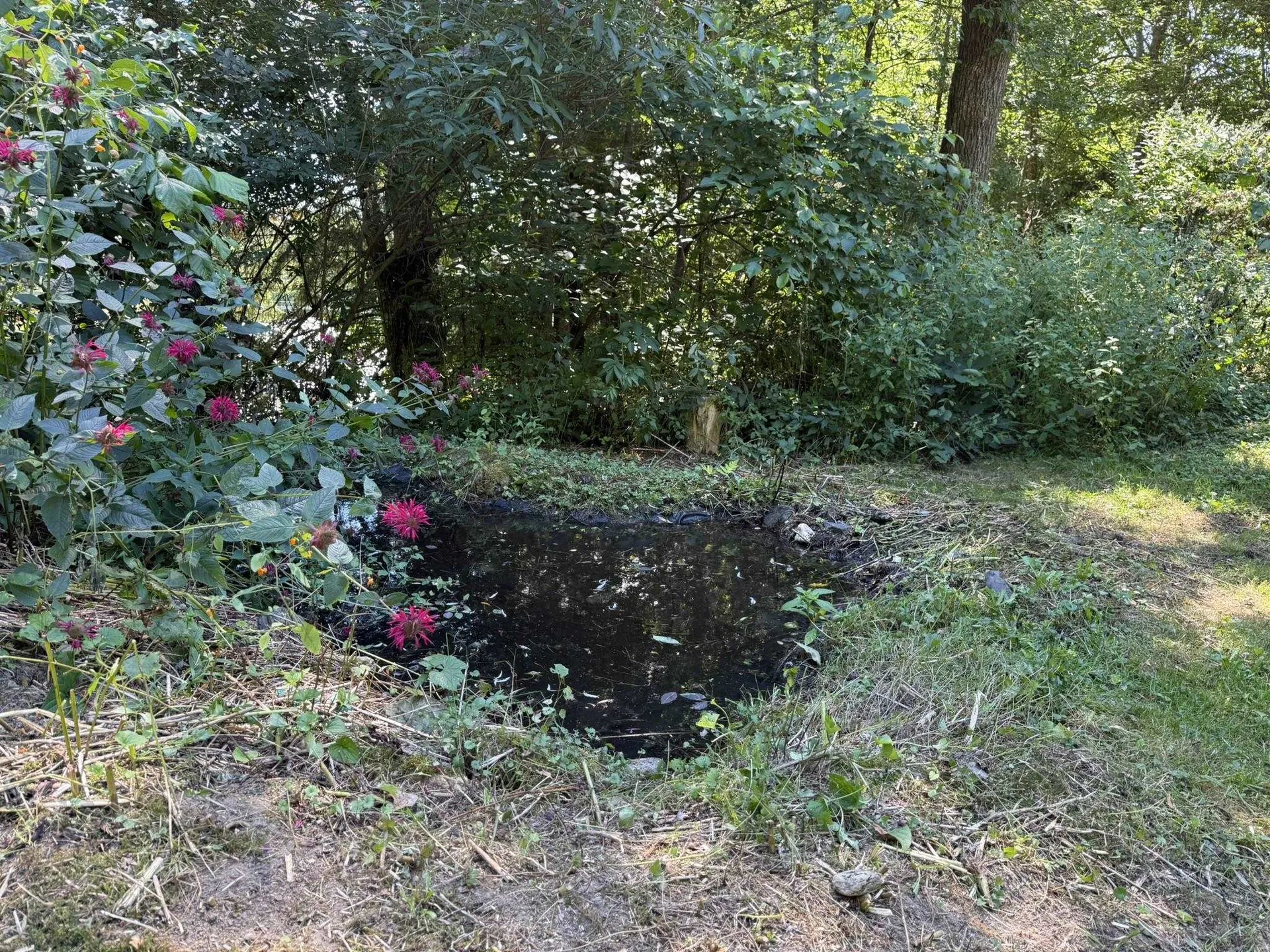 209 Putnam Avenue Hardwick VT 05843