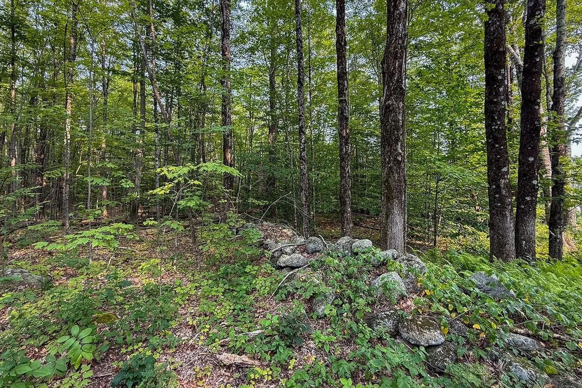 0 Center Road Hillsborough NH 03244