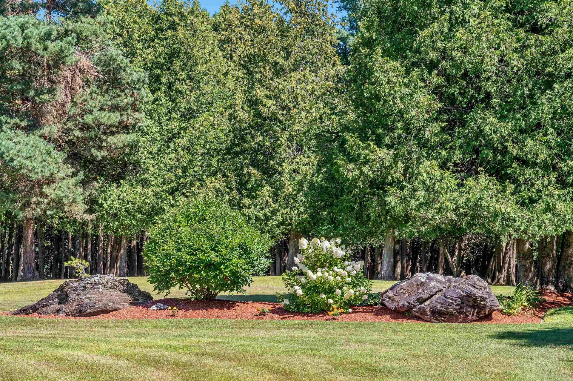 75 Bluebird Road Williamstown VT 05679