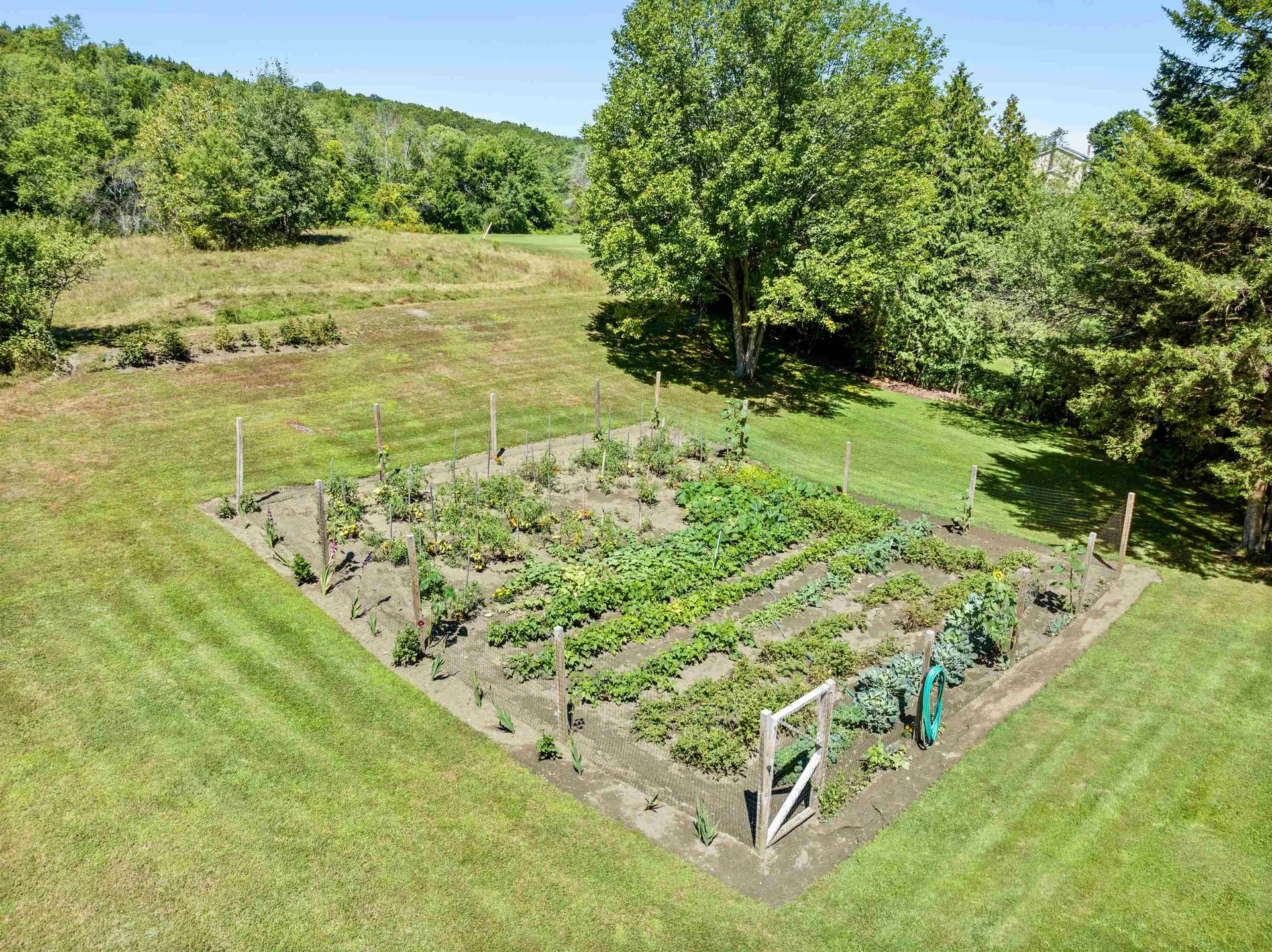 75 Bluebird Road Williamstown VT 05679