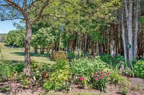 75 Bluebird Road Williamstown VT 05679