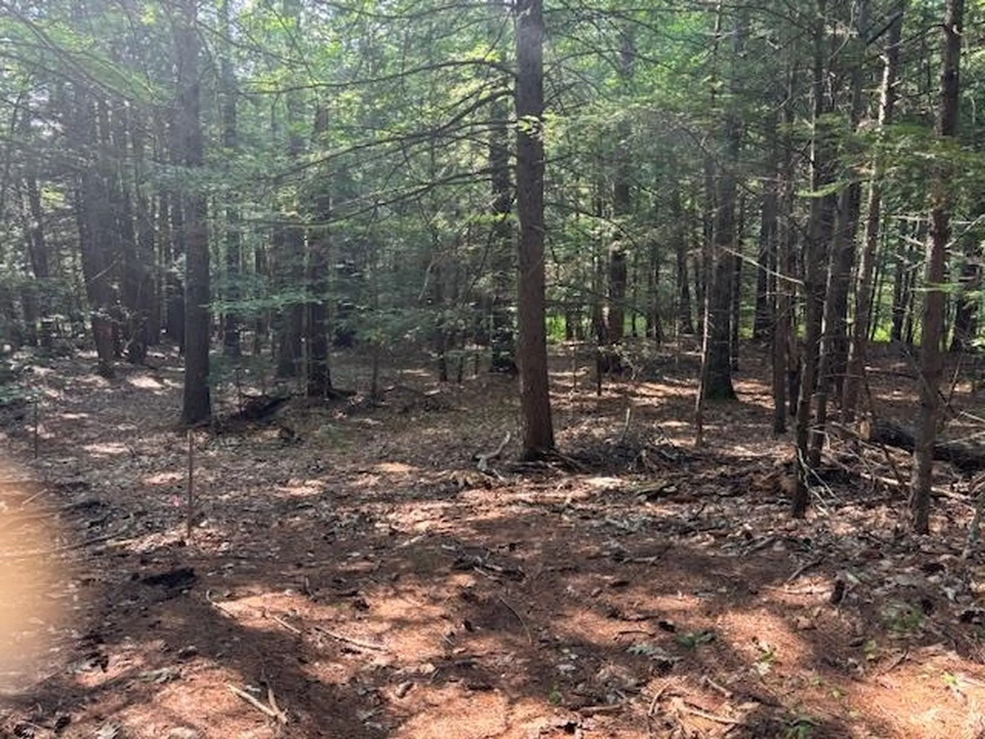 Marden Road Wilton NH 03086