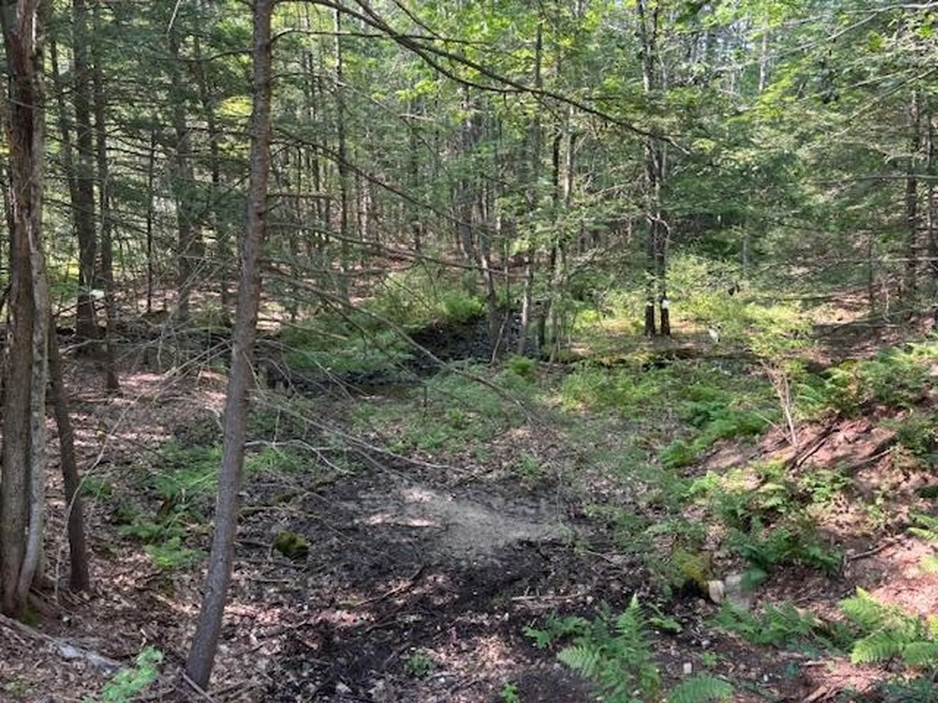 Marden Road Wilton NH 03086