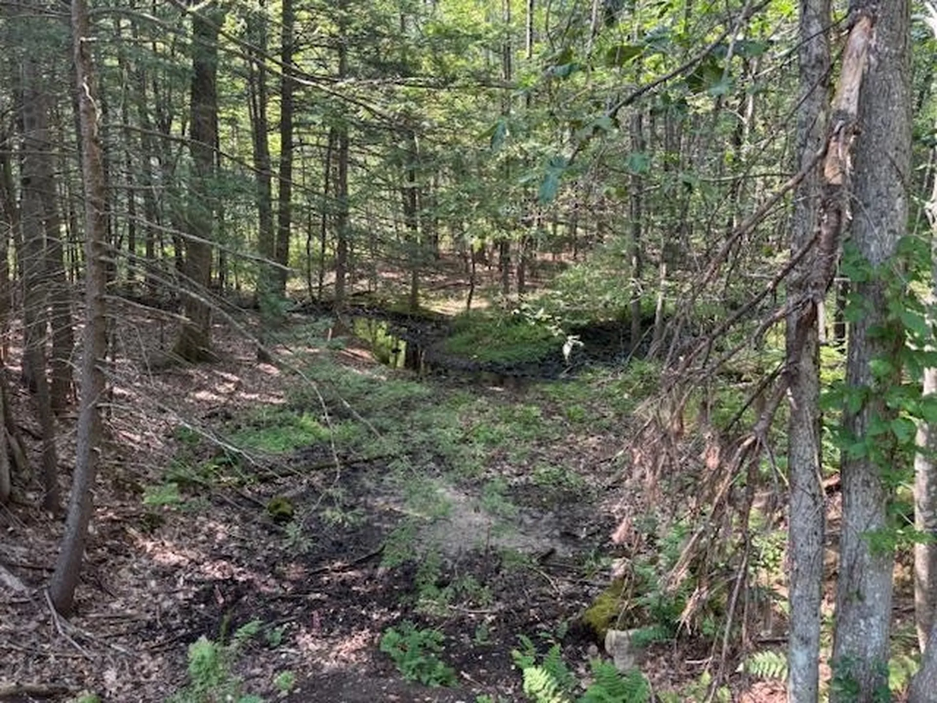 Marden Road Wilton NH 03086