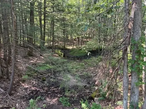 Marden Road Wilton NH 03086