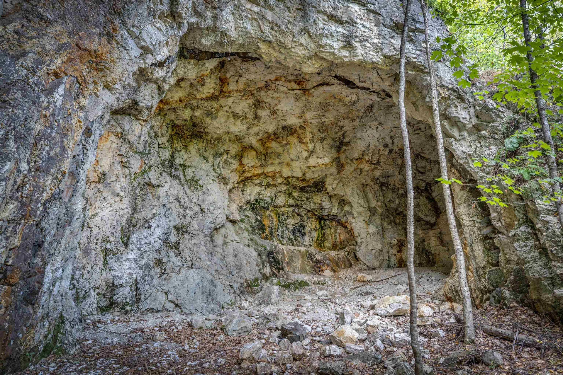 00 Main Road Chatham NH 03813