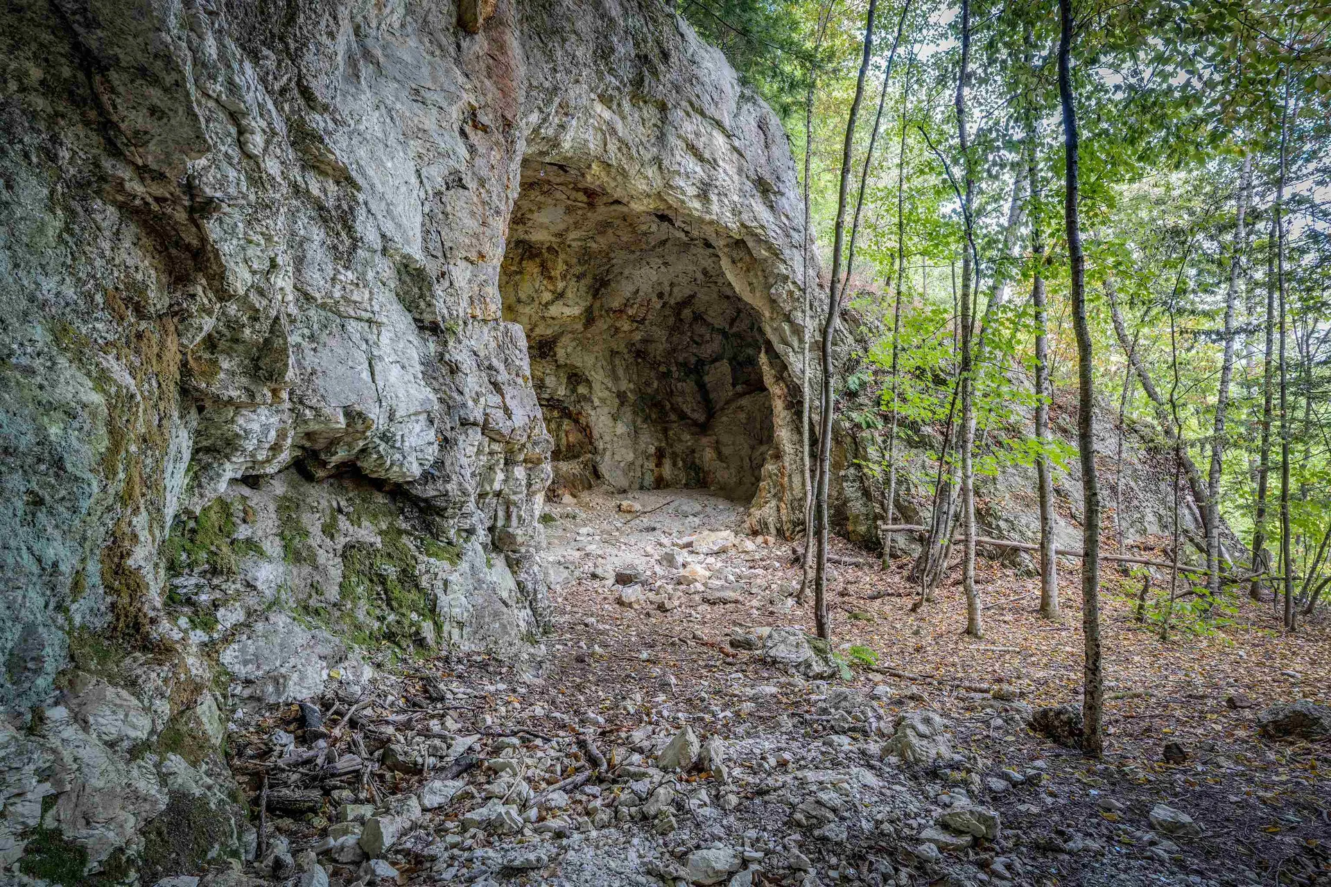 00 Main Road Chatham NH 03813