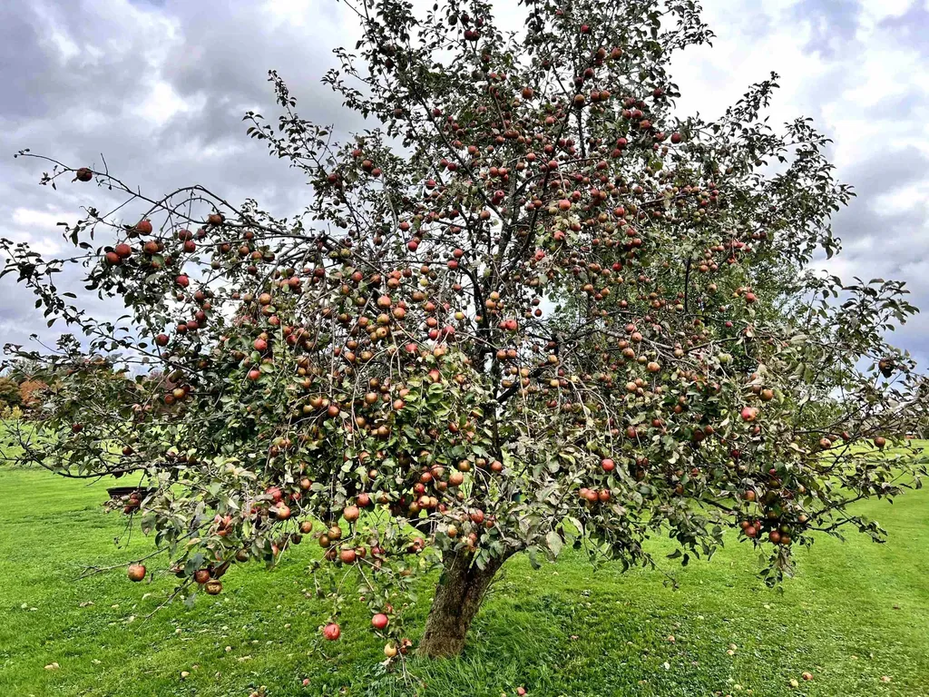 989 Bergeron Road Troy VT 05859