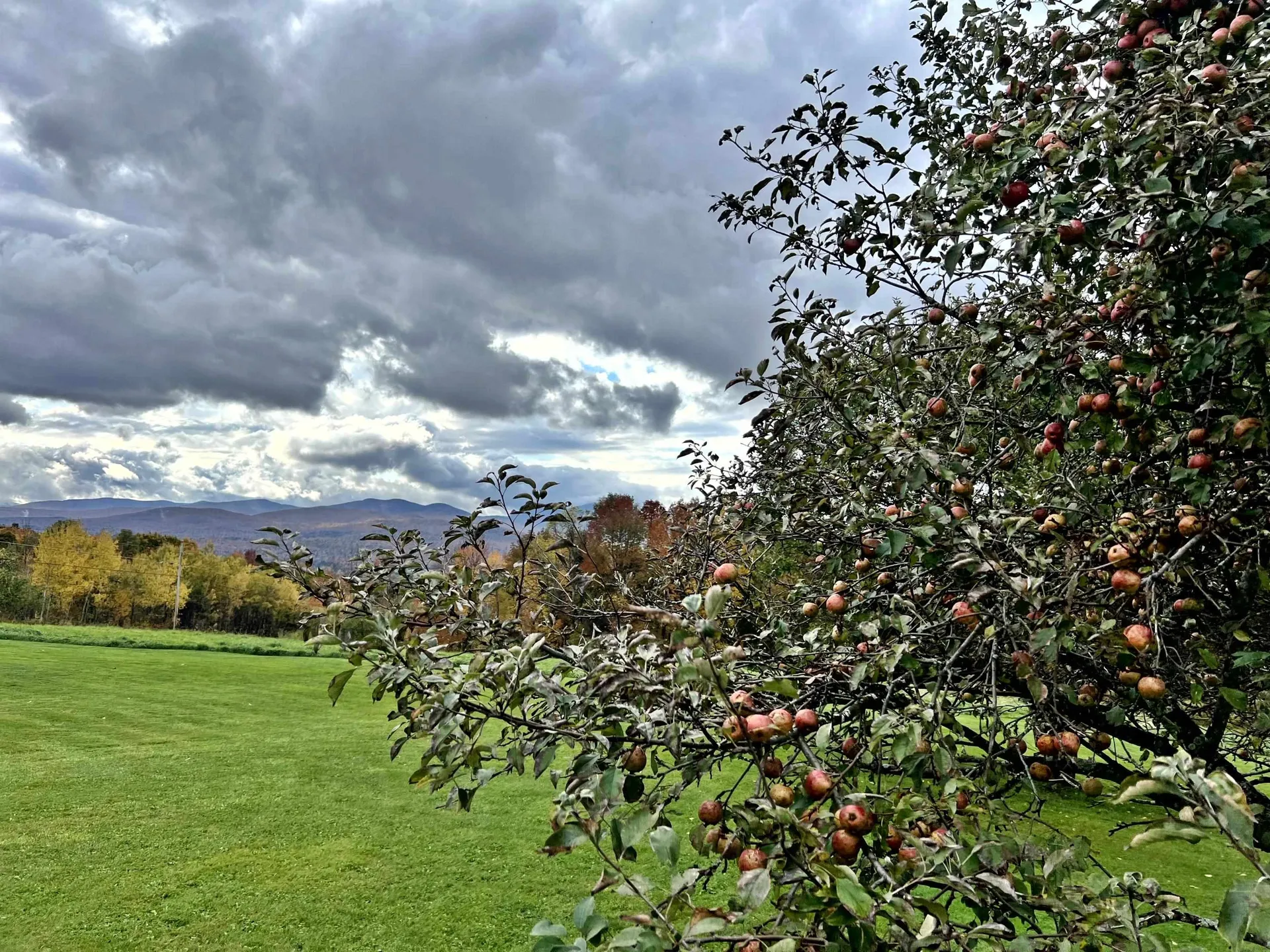 989 Bergeron Road Troy VT 05859