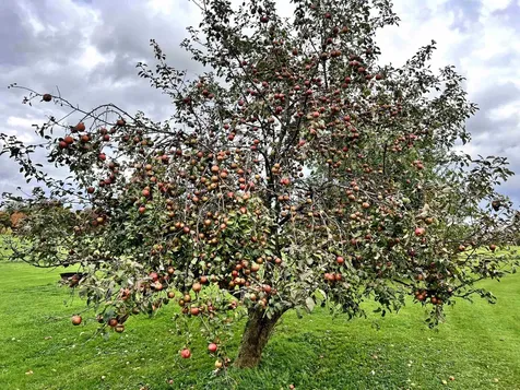 989 Bergeron Road Troy VT 05859