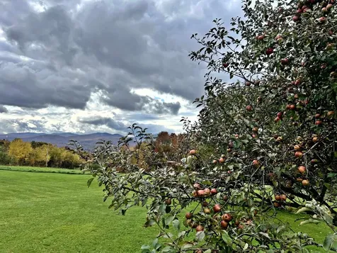 989 Bergeron Road Troy VT 05859