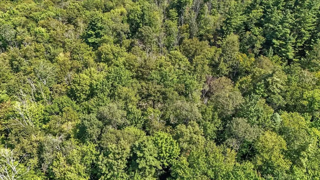 00 Hall Ranch Road Grafton VT 05146