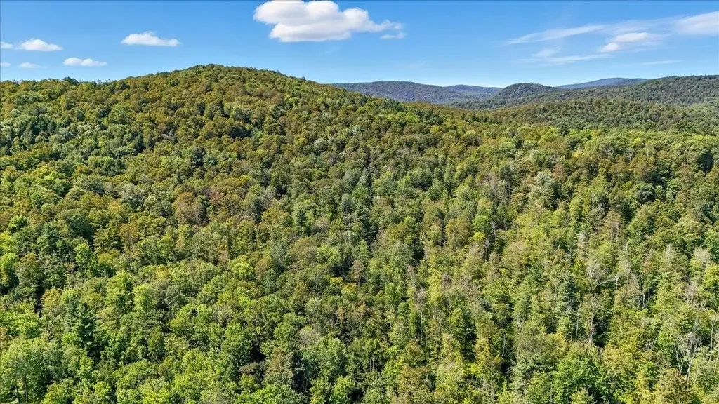 00 Hall Ranch Road Grafton VT 05146