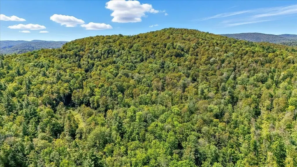 00 Hall Ranch Road Grafton VT 05146