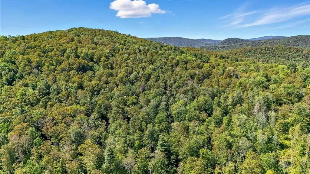 00 Hall Ranch Road Grafton VT 05146