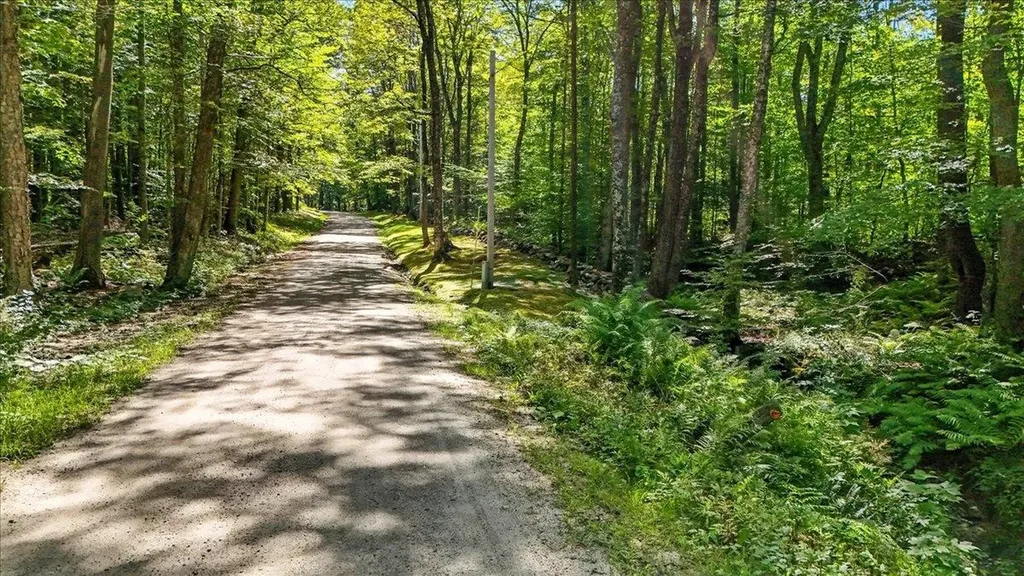 00 Hall Ranch Road Grafton VT 05146
