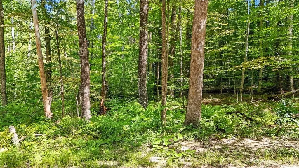 00 Hall Ranch Road Grafton VT 05146