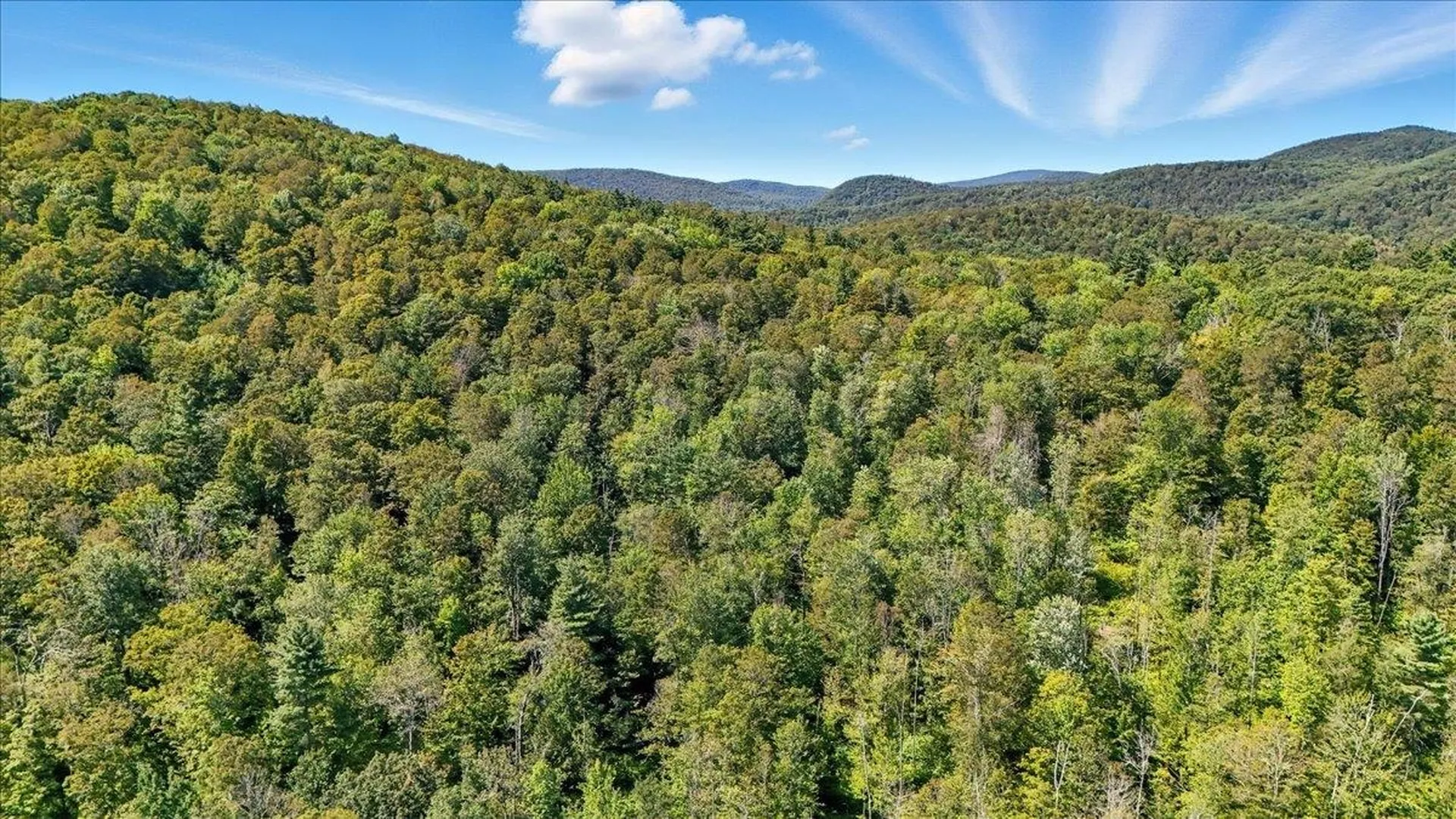 00 Hall Ranch Road Grafton VT 05146