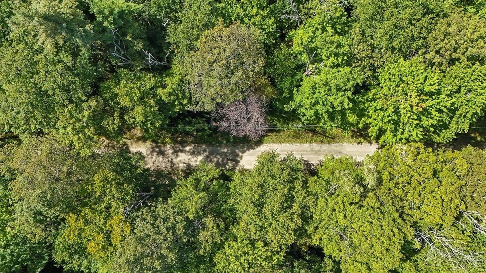 00 Hall Ranch Road Grafton VT 05146