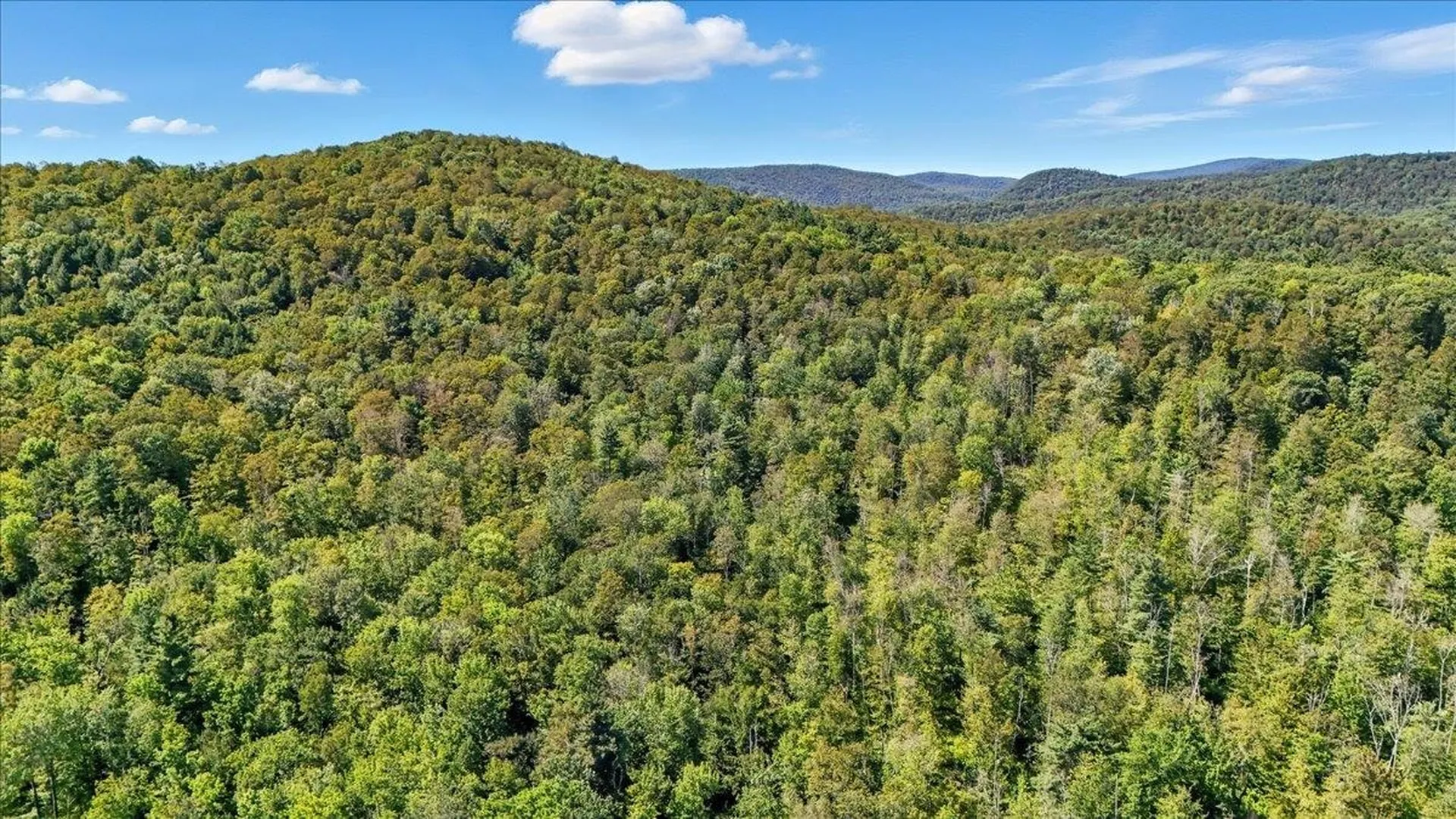 00 Hall Ranch Road Grafton VT 05146