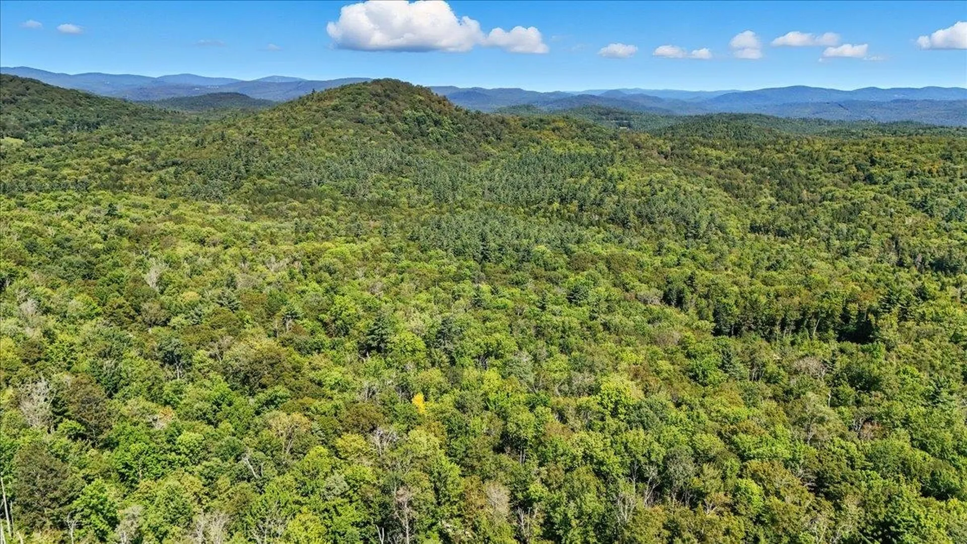 00 Hall Ranch Road Grafton VT 05146