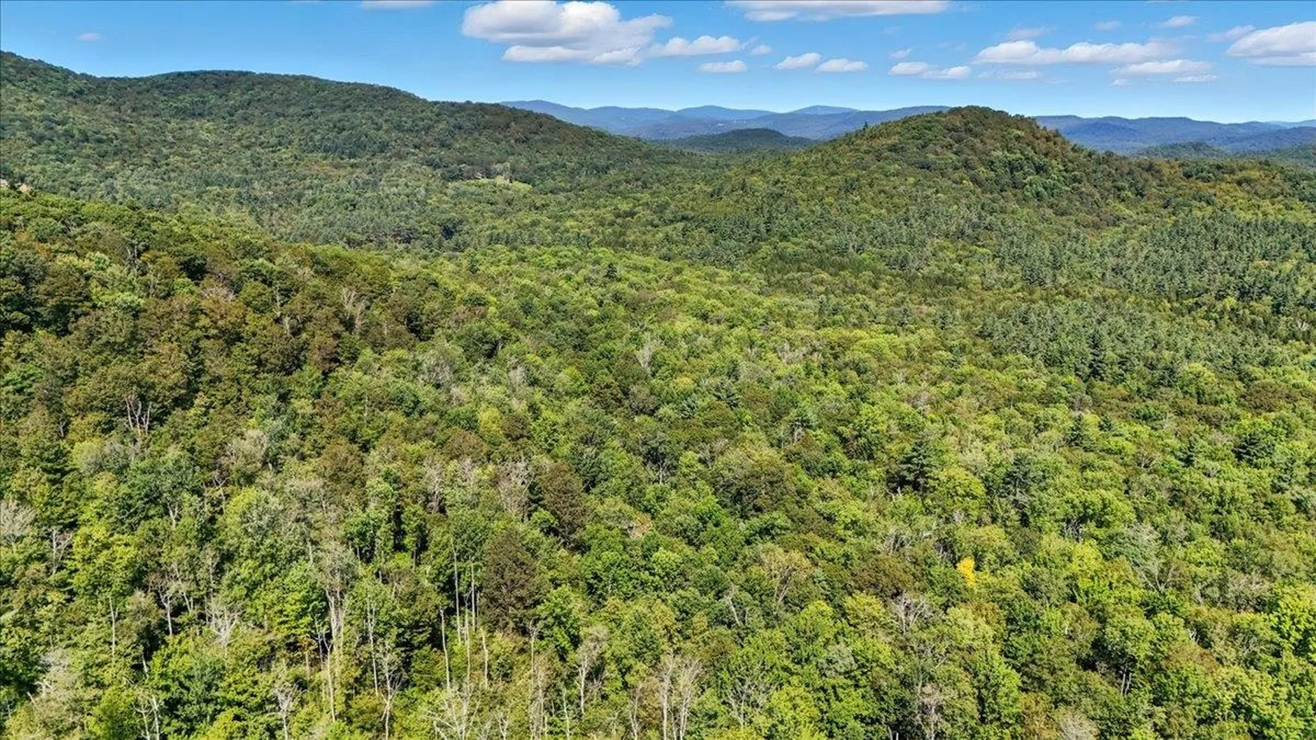 00 Hall Ranch Road Grafton VT 05146