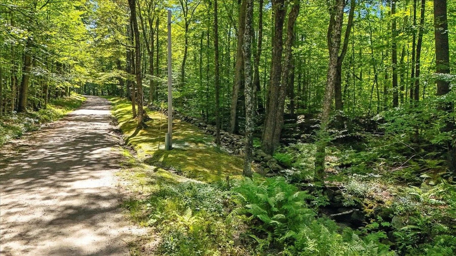 00 Hall Ranch Road Grafton VT 05146