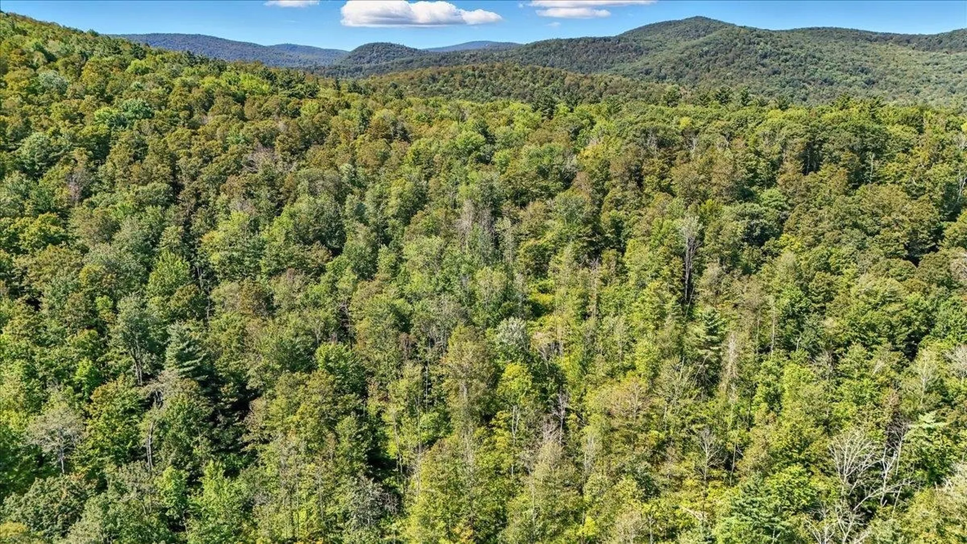 00 Hall Ranch Road Grafton VT 05146