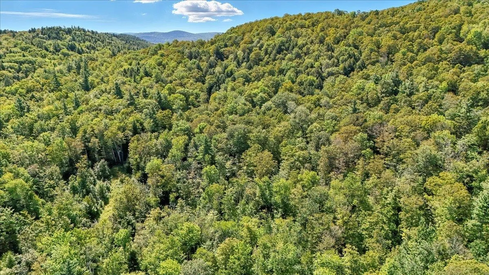 00 Hall Ranch Road Grafton VT 05146