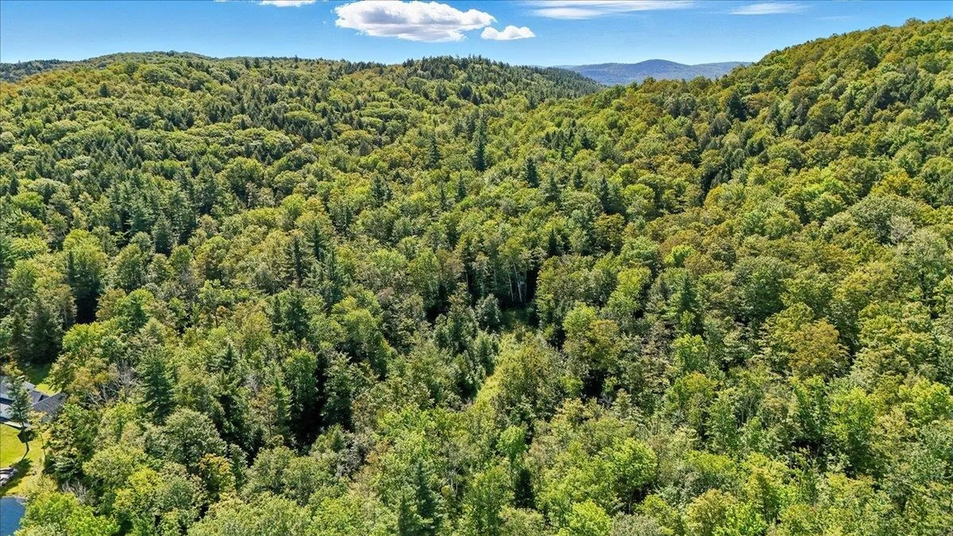 00 Hall Ranch Road Grafton VT 05146